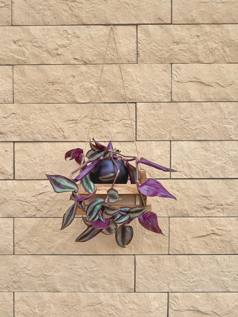 Кашпо Каприз из цельного дуба