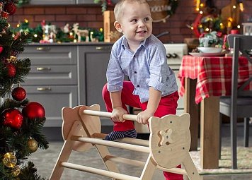 Треугольник Пиклер купить