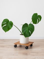 Держатель для кашпо из цельного дуба, 4 колеса